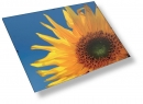 Euroklip A4 - 21 x 30 cm plexi